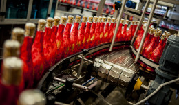 cd strawberry mint 3 55105 1