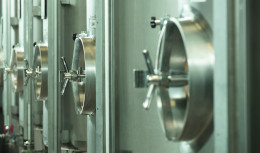 elitphoto11small b02ae 1